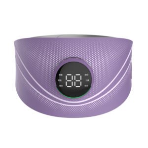 Pulse High Frequency Waist Massager Abdominal EMS Pad Vibration Heating Lumbar Support Smart Electric Waist Massager Belt
